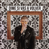 Dime Si Vas a Volver