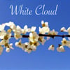 White Cloud (Piano Remix)