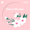 Spotify Singles