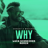 Why (Luca Schreiner Remix)