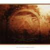 Selected Ambient Works Volume Ii
