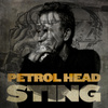 Petrol Head