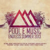 Endless Summer 2013