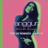 What We Remember (THE US REMIXES PART III)