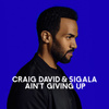Ain't Giving Up