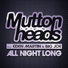All Night Long