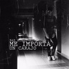Me Importa Un Carajo