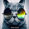 So You're Funky Now