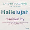 Hallelujah (Remixes, Pt. 1)