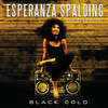 Black Gold (special Guest: Algebra Blessett)