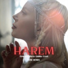 Harem (Sine Remix)