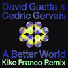 A Better World (Kiko Franco Remix)