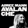 Avalanche