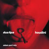 Houdini (Adam Port Mix)