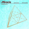 Miracle (with Ellie Goulding) [ACRAZE Remix]