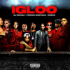 Igloo