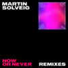 Now Or Never (Remixes)