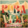 ¡ Pura Vida Fenomenal !