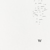 Wonder