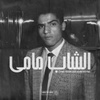 Cheb Mami - les années raï, Vol. 2