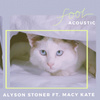 FOOL - Acoustic