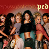 Pcd Tour Edition