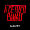 A Ce Qu'il Paraît